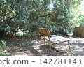 An old bench placed in the shade of a large tree 142781143