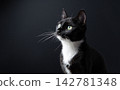 profile view of a tuxedo cat 142781348
