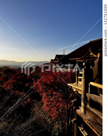 Kyoto city at sunset viewed through autumn leaves | Autumn scenery with Kyoto Tower and mountain range in view Kyoto city at sunset viewed through autumn leaves | Autumn scenery with Kyoto Tower and mountain range in view 142781899