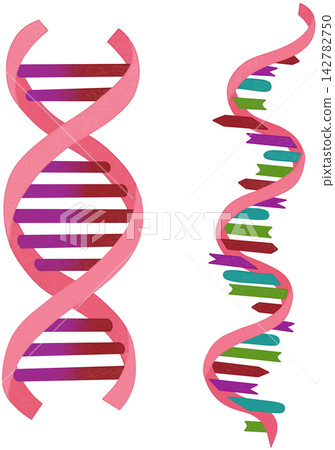 dna vs rna dna vs rna 142782750