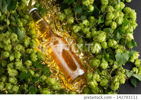 Brewing ingredient fresh green hops plant surrounding golden beer bottle refreshment 142783111