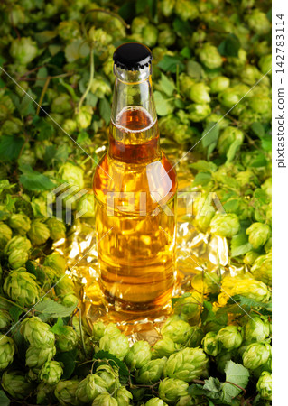 Amber lager beer bottle surrounded by fresh green hops cones on golden reflective surface 142783114