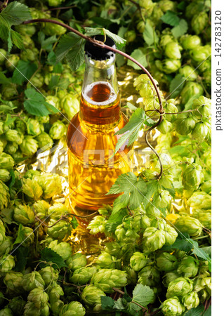 Refreshing Cold Beer Bottle Surrounded by Fresh Green Hops and Vines Refreshing Cold Beer Bottle Surrounded by Fresh Green Hops and Vines 142783120