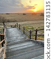 The walking path in Watarase Floodplain bathed in the setting sun 142783135