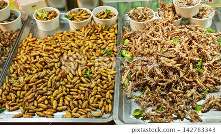 Exotic Insect Food Display At Night Market, Traditional Edible Insects For Sale And Asian Street Food Concept Exotic Insect Food Display At Night Market, Traditional Edible Insects For Sale And Asian Street Food Concept 142783343