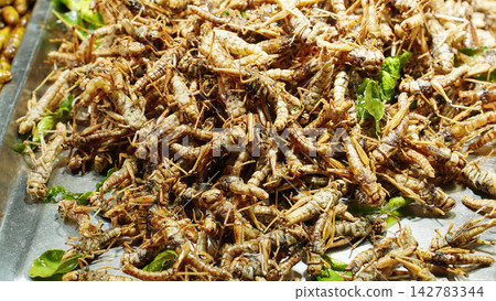Fried Crickets Display At Night Market, Edible Insects For Sale And Exotic Asian Street Food Concept Fried Crickets Display At Night Market, Edible Insects For Sale And Exotic Asian Street Food Concept 142783344