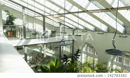 Hanging grow lights under greenhouse glass roof. Glass ceiling lights daylight into modern indoor conservatory. Hanging grow lights under greenhouse glass roof. Glass ceiling lights daylight into modern indoor conservatory. 142783381