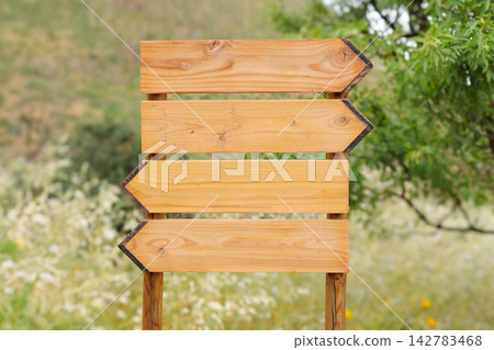 Rustic wooden directional signpost with copy space for text in nature Rustic wooden directional signpost with copy space for text in nature 142783468