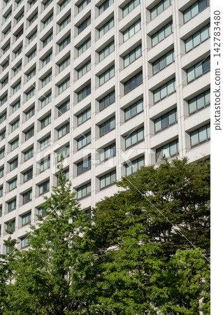 從東京霞關政府區看到的摩天大樓景色。 從東京霞關政府區看到的摩天大樓景色。 142783480