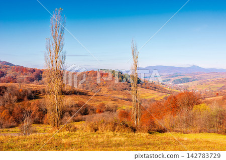 mountainous countryside scenery in the autumn. azure sky above the distant valley. fields and forest on the hill. beautiful nature view of Carpathians. rural background mountainous countryside scenery in the autumn. azure sky above the distant valley. fields and forest on the hill. beautiful nature view of Carpathians. rural background 142783729
