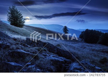 mountain field at night. full moon over countryside late summer view with beech forest on the grassy hill. fluffy clouds on a dark sky. mysterious nature background mountain field at night. full moon over countryside late summer view with beech forest on the grassy hill. fluffy clouds on a dark sky. mysterious nature background 142783735