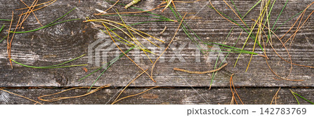 Fallen green dry pine needles scattered on weathered rustic wooden planks. Autumn nature background Fallen green dry pine needles scattered on weathered rustic wooden planks. Autumn nature background 142783769