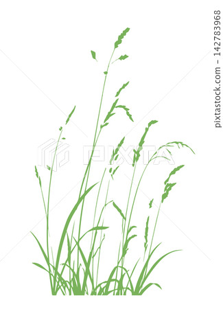 Grass green silhouette vector isolated on white background nature design illustration of grass plant pattern greenery artwork Hand drawn. Not AI, vector illustration. Grass green silhouette vector isolated on white background nature design illustration of grass plant pattern greenery artwork Hand drawn. Not AI, vector illustration. 142783968