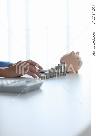 Growing money stacks and piggy bank symbolizing economic growth and stability. 142784207