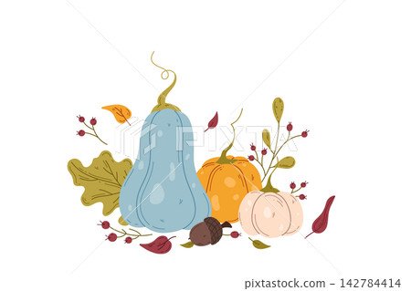 Hand drawn pumpkins illustration Hand drawn pumpkins illustration 142784414