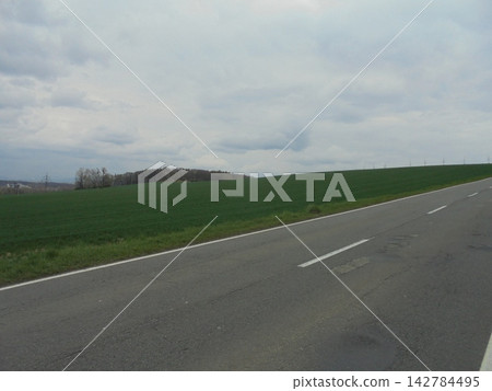 Green crop field along rural road under overcast sky Green crop field along rural road under overcast sky 142784495