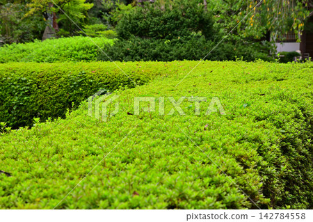 Nakain Garden, Kawagoe City Nakain Garden, Kawagoe City 142784558