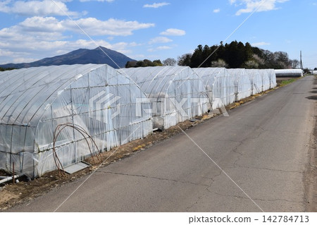 農業塑料房子 農業塑料房子 142784713
