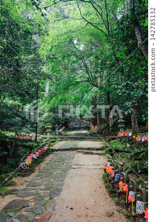 [滋賀縣東近江市]金剛林寺、千尊地藏菩薩 142785132