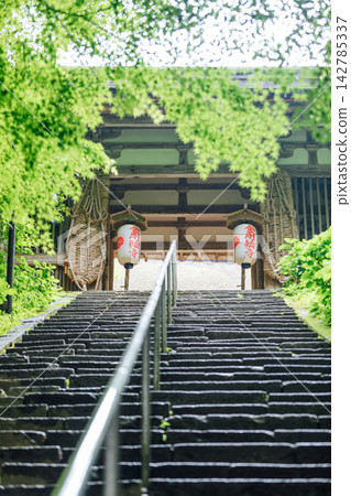 [Higashiomi City, Shiga Prefecture] Kongorinji Temple: Nitenmon Gate and fresh greenery 142785337