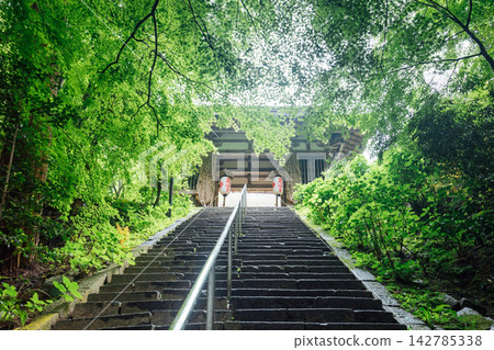 [Higashiomi City, Shiga Prefecture] Kongorinji Temple: Nitenmon Gate and fresh greenery 142785338