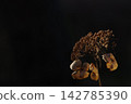 枯萎的花 142785390