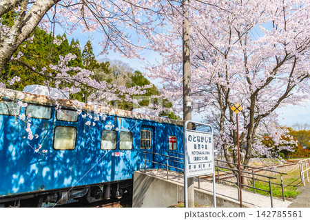 能登鐵道：能登中島站櫻花盛開，還有一節鐵路郵政車廂。 142785561