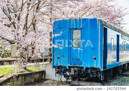 能登鐵道:能登中島站櫻花盛開,還有一節鐵路郵政車廂。 能登鐵道:能登中島站櫻花盛開,還有一節鐵路郵政車廂。 142785564