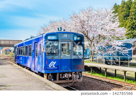 能登鐵道：能登中島站櫻花盛開。 142785566