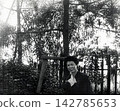 昭和1701年 142785653