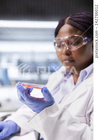 Black woman expert inspects Petri dish with magnifying glass for experiment in chemistry lab. Cellular investigation and molecular biology analysis support genetics research and advanced science. Black woman expert inspects Petri dish with magnifying glass for experiment in chemistry lab. Cellular investigation and molecular biology analysis support genetics research and advanced science. 142786012