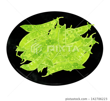 Snow peas (snow peas) served on a black plate - Hand-drawn watercolor illustration material Snow peas (snow peas) served on a black plate - Hand-drawn watercolor illustration material 142786223