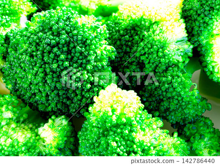 Simple boiled broccoli with a vibrant color against a white background. Simple boiled broccoli with a vibrant color against a white background. 142786440