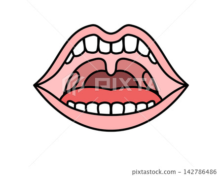 Illustration of oral cavity Illustration of oral cavity 142786486
