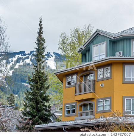 Yellow Residential Condo Building and Evergreen Tree with Ski Mountain Background 142787007