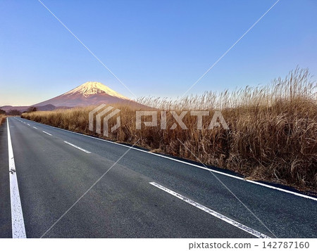 清晨從公路望去,可以看到富士山和蒲葦草。 清晨從公路望去,可以看到富士山和蒲葦草。 142787160