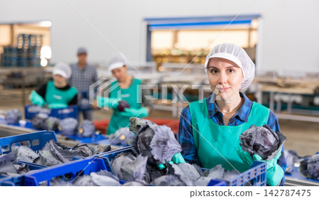 Portrait of woman working at warehouse, checking quality of red cabbages in boxes Portrait of woman working at warehouse, checking quality of red cabbages in boxes 142787475