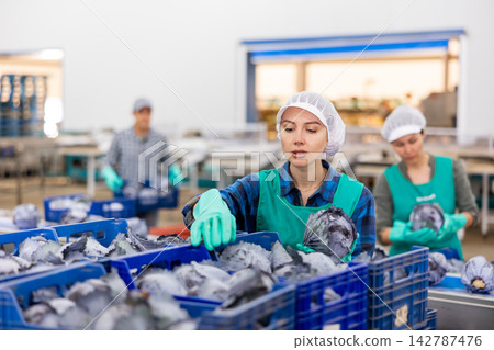 Portrait of woman working at warehouse, checking quality of red cabbages in boxes Portrait of woman working at warehouse, checking quality of red cabbages in boxes 142787476