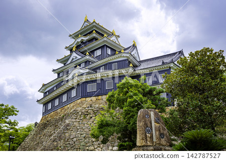 岡山城(岡山縣岡山市)擁有一座美麗的漆黑天守閣。 岡山城(岡山縣岡山市)擁有一座美麗的漆黑天守閣。 142787527
