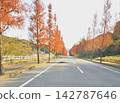 Autumnal leaves trees that red leaves 142787646