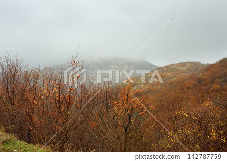 A picturesque landscape of a mountain valley in Lovchen National Park, Montenegro on an autumn foggy day. A picturesque landscape of a mountain valley in Lovchen National Park, Montenegro on an autumn foggy day. 142787759