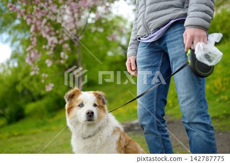A caring young man the owner is walking his large, fluffy dog in the park. A caring young man the owner is walking his large, fluffy dog in the park. 142787775
