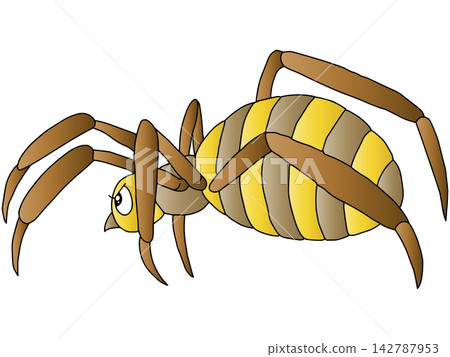 Hand-drawn animal illustration ☆ Spider Hand-drawn animal illustration ☆ Spider 142787953