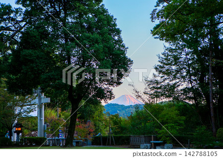 Mount Fuji from Takeda Shrine Mount Fuji from Takeda Shrine 142788105