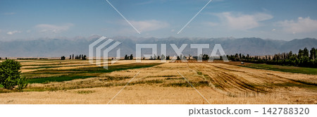 Harvested agricultural fields and Kungey Alatau mountains Kyrgyzstan Harvested agricultural fields and Kungey Alatau mountains Kyrgyzstan 142788320