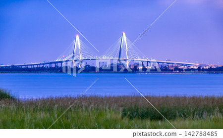 Arthur Ravenel Jr. Bridge illuminated at blue hour across the Cooper River with marsh grass in the foreground in Charleston South Carolina 142788485