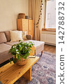 Cozy Living Room with Wooden Furniture and Lush Green Plant on a Rustic Coffee Table 142788732