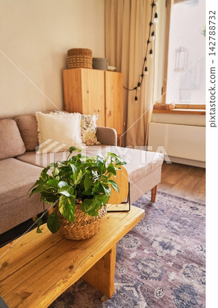 Cozy Living Room with Wooden Furniture and Lush Green Plant on a Rustic Coffee Table Cozy Living Room with Wooden Furniture and Lush Green Plant on a Rustic Coffee Table 142788732