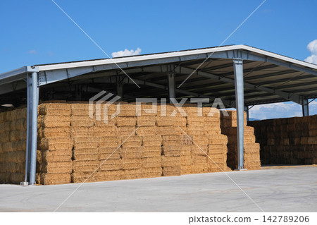 Hay barn with stacked bales for agricultural storage Hay barn with stacked bales for agricultural storage 142789206