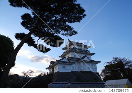 Odawara Castle's main tower (4) Odawara Castle's main tower (4) 142789475